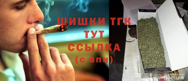 ECSTASY Белокуриха