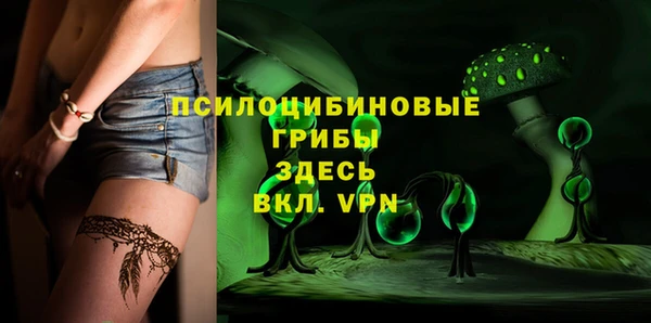 ECSTASY Белокуриха