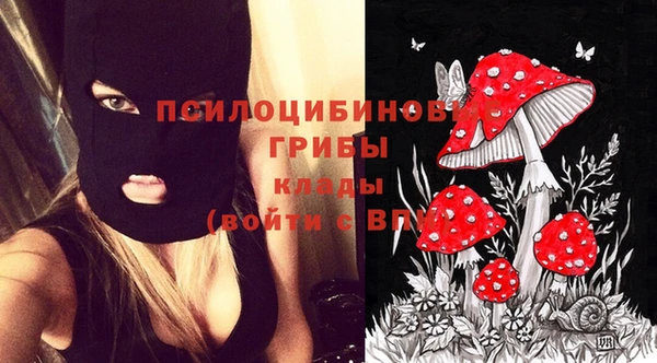 ECSTASY Белокуриха