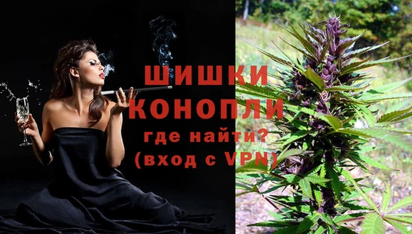 ECSTASY Белокуриха