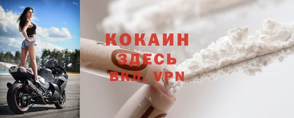 дживик Тобольск