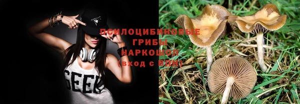 ECSTASY Белокуриха