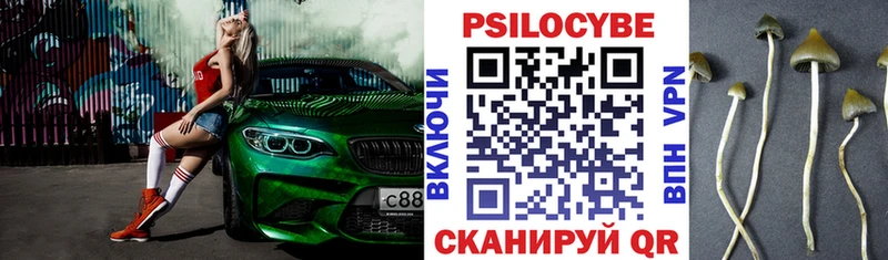 Галлюциногенные грибы Psilocybe  Володарск 